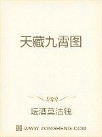 天藏九霄图封面