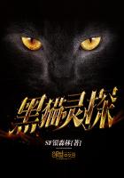 黑猫灵探封面