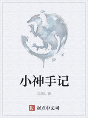小神手记封面