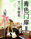 青色门扉Ⅱ封面