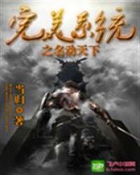 完美系统之名动天下封面