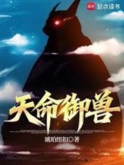 天命御兽封面