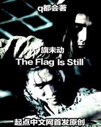 旗未动封面