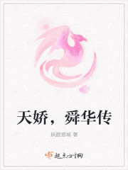 天娇，舜华传封面