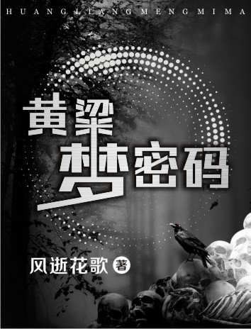 黄粱梦密码封面