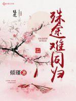 殊途难同归封面