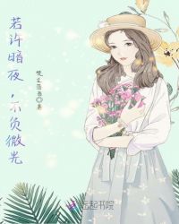 若许暗夜,不负微光封面