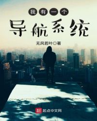 我有一个导航系统封面