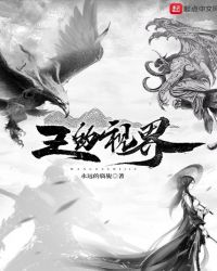王的视界封面