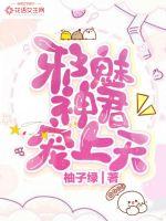 邪魅神君宠上天封面