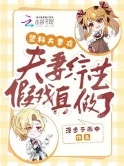 塑料夫妻在夫妻综艺假戏真做了封面
