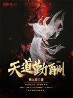 天道勤酬封面