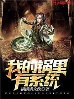我的锅里有系统封面