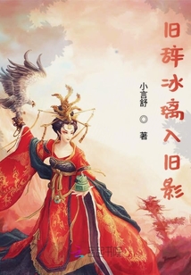 旧辞冰璃入旧影封面