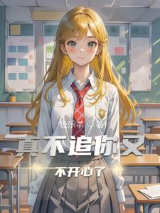 真不追你又不开心了封面