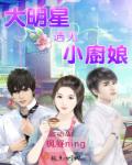 大明星遇见小厨娘封面