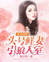 盛宠甜婚：头号鲜妻引狼入室封面