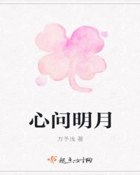 心问明月封面