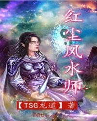 红尘风水师封面