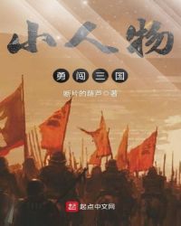 小人物勇闯三国封面