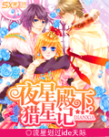 夜星殿下猎星记封面