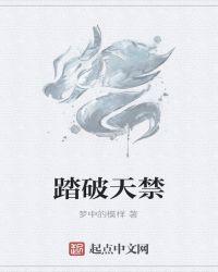 踏破天禁封面