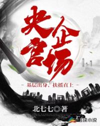 央企官场:基层出身,扶摇直上封面