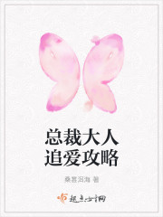 总裁大人追爱攻略封面