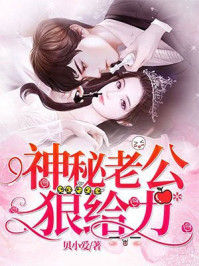 神秘老公狠给力封面