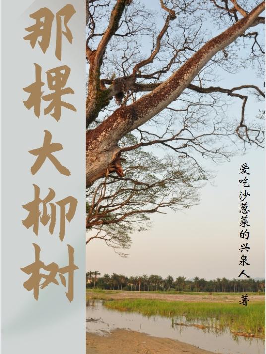 那棵大柳树封面