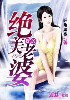 我的绝美老婆封面