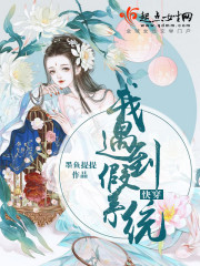 快穿：我遇到假系统封面