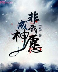 成神非我愿封面