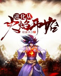 进化从火焰开始封面