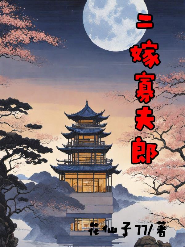 二嫁寡夫郎封面