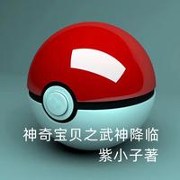 神奇宝贝之武神降临封面