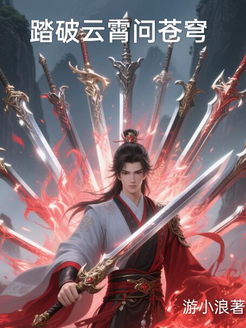 踏破云霄问苍穹封面