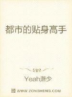都市的贴身高手封面