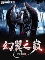 幻翼之巅封面