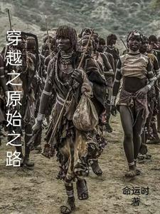 穿越之原始之路封面