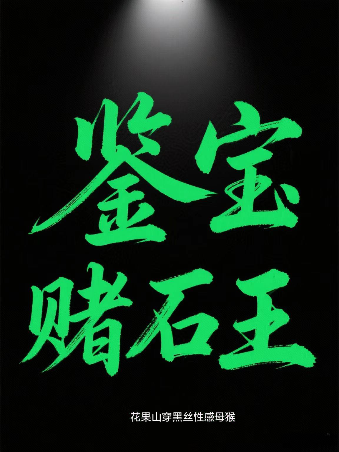 鉴宝赌石王封面