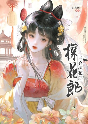 三弃探花郎封面