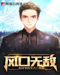 风口无敌封面