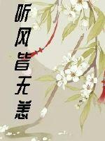 听风皆无恙封面