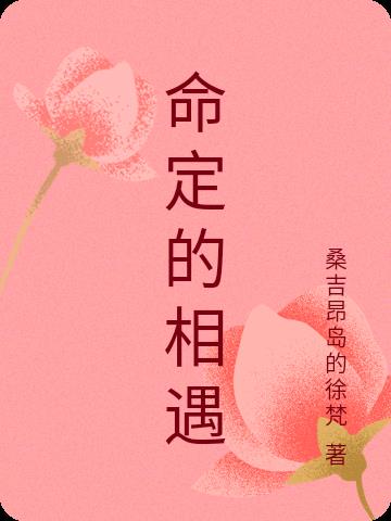 命定的相遇封面