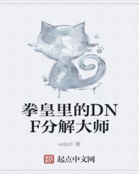 拳皇里的DNF分解大师封面