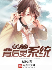 游戏王之背后灵系统封面