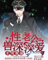 霸宠小悍妻封面