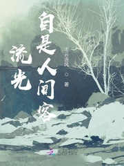 流光自是人间客封面