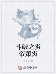 斗破之炎帝萧炎封面